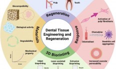 浙大口腔医学院：生物3D打印在牙科组织工程的最新进展